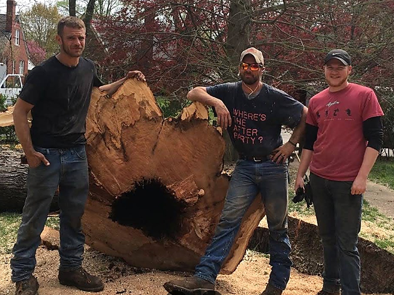 Thomas Tree Care